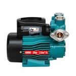 Bơm nước đẩy cao 35m Rymaru RY400 