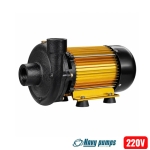 Bơm nước đẩy cao , đẩy xa Navy 750TBG Gold Series