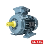 Motor điện 3.0Kw TTT MS-100L2-4 ( 3 pha 380V )