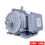 Motor điện 5.5Kw TTT CMYL112M3-4 ( 1 pha vỏ gang )