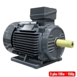 Motor kéo 11Kw vỏ gang TTT Y3-160M-4 ( 3 pha 380/660V )