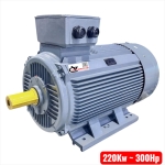 Motor công nghiệp vỏ gang TTT 200Kw 300Hp ( 3 pha 380V )