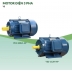 Motor Điện 3 Pha