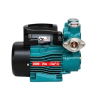 Bơm nước đẩy cao 25m Rymaru RY200 