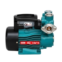 Bơm nước đẩy cao 35m Rymaru RY400 