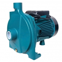 Bơm nước ly tâm đẩy cao 42m Rymaru RY190