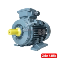 Motor điện 3.0Kw TTT MS-100L2-4 ( 3 pha 380V )