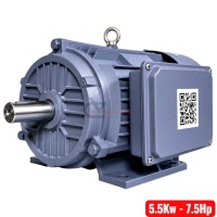 Motor điện 5.5Kw TTT YL132M-4 ( 1 pha vỏ gang )