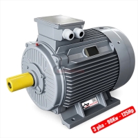 Motor công nghiệp vỏ gang TTT 125Hp ( 3 pha 380V - 90Kw )
