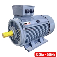 Motor công nghiệp vỏ gang TTT 200Kw 300Hp ( 3 pha 380V )