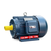 Motor kéo 2.2Kw Xtra Y3-100L1-4 ( 3 pha 380V 3.0Hp ) 