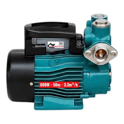 Bơm nước đẩy cao 50m Rymaru RY600 