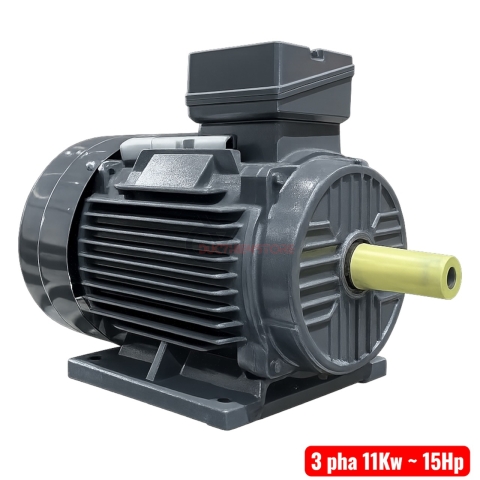 Motor kéo 11Kw vỏ gang TTT Y3-160M-4 ( 3 pha 380/660V )