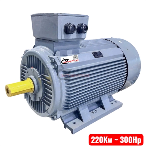 Motor công nghiệp vỏ gang TTT 200Kw 300Hp ( 3 pha 380V )