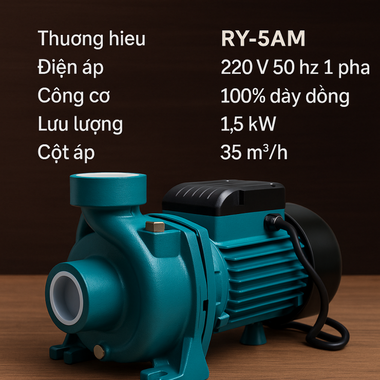 Máy bơm nước lưu lượng 1.5kW Rymaru RY-5AM