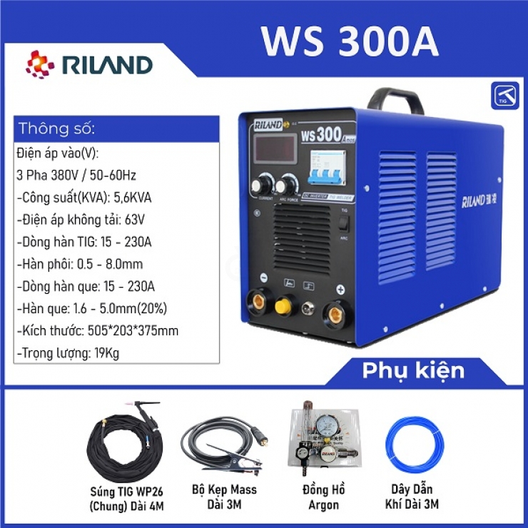 Máy hàn Tig que Riland WS 300A Professional