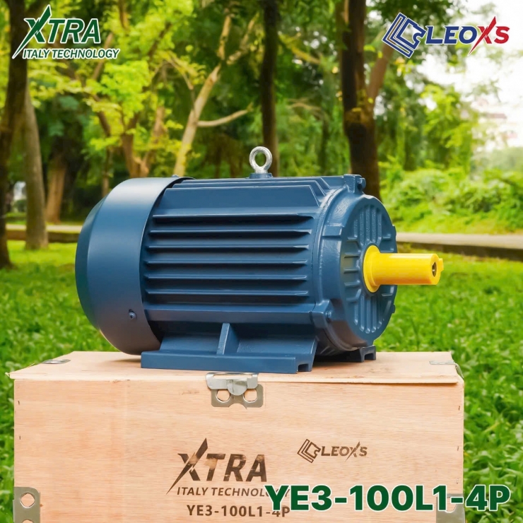 Motor Điên 380V 3HP XTRA YE3-100L1-4P