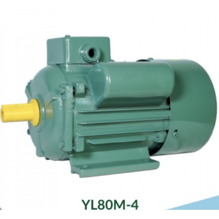 Motor kéo 1 pha 220V Xtra YL80M-4 _ YL90S-4 _ YL90L-4