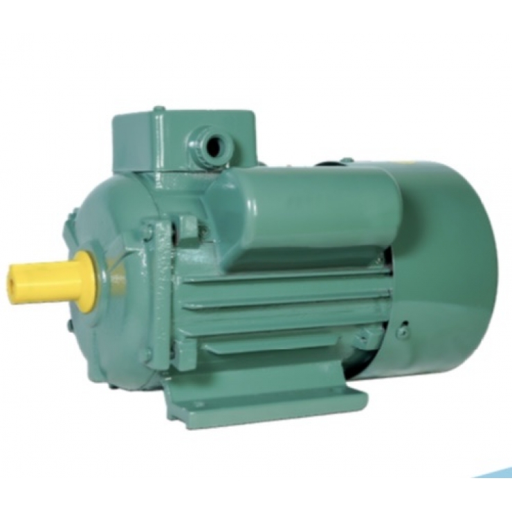 Motor kéo 1 pha 220V Xtra YL80M-4 _ YL90S-4 _ YL90L-4