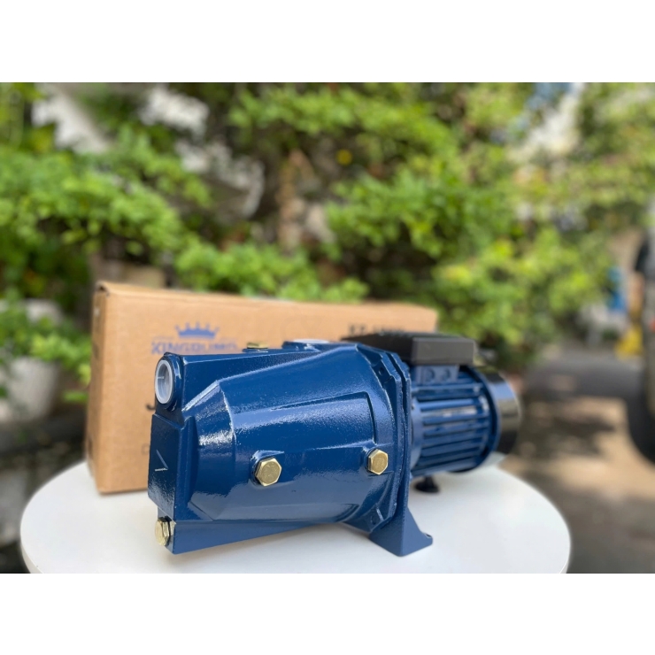 Máy bơm nước chuyên đẩy cao 750W Kingpump KP-100M