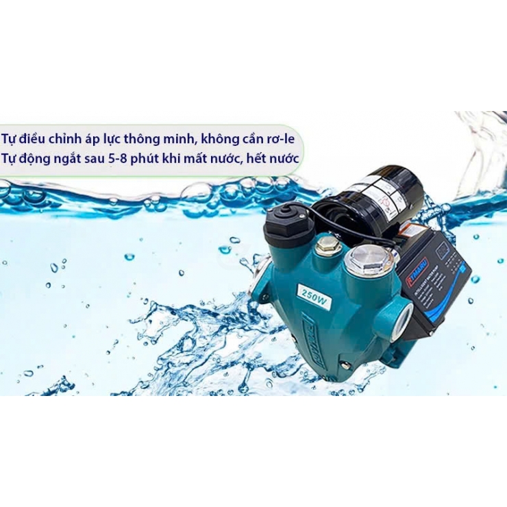 Máy bơm tăng áp điện tử 250W Rymaru RY250F