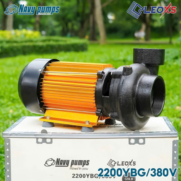 Máy bơm lưu lượng 2.2kW Navy 2200YBG/380V Gold Series