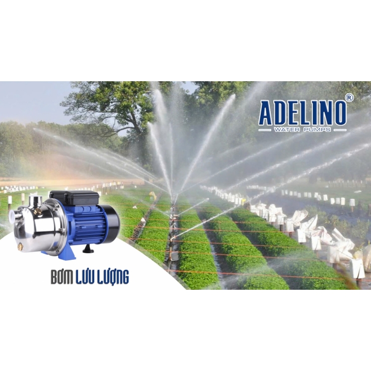 Bơm đẩy cao đa tầng cánh Adelino AJS37T & AJS37FT ( 3 pha 1/2Hp-1/2Hp )
